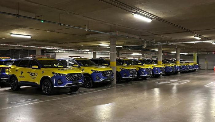 Leasing-Operativo (2)