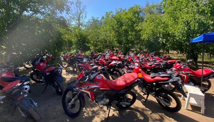 Leasing-Operativo (3)